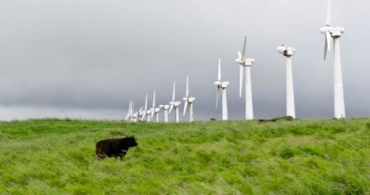 14,000 Idle Wind Turbines a Testament to Failed Energy Policies | Wind ...