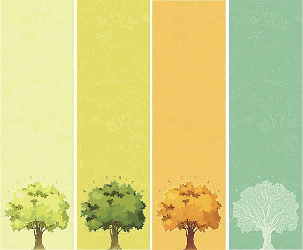 Four Seasons Spring Summer Autumn Winter Stock Illustration - Download  Image Now - Four Seasons, Tree, Season - iStock