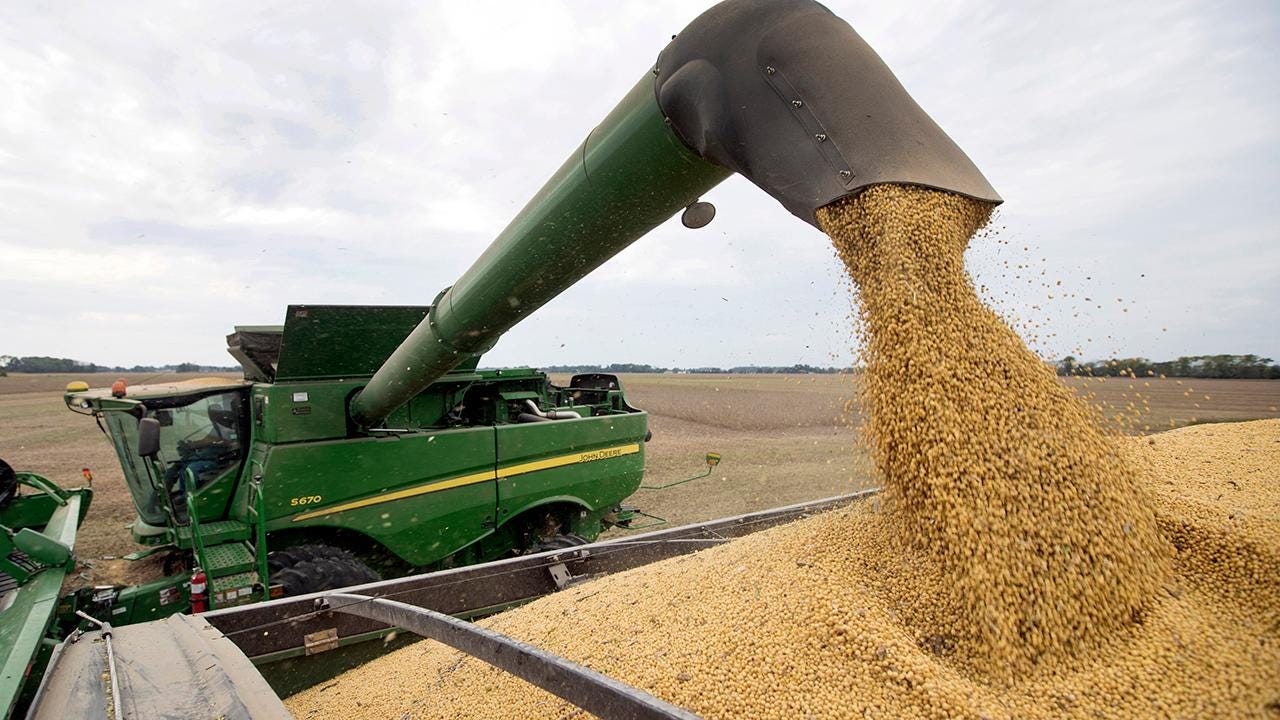 Corn farmers in Midwest lament flooding's effect on their crops | Fox  Business