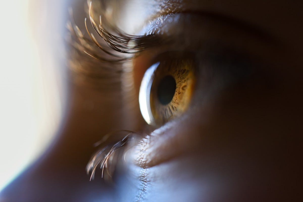Side-view closeup photo of an amber eye with long lashes staring at a bright light source.