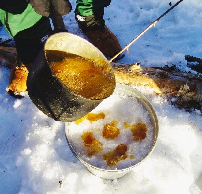 maple syrup being poured from a bucket into another bucket full of snow, to make round maple taffy candies