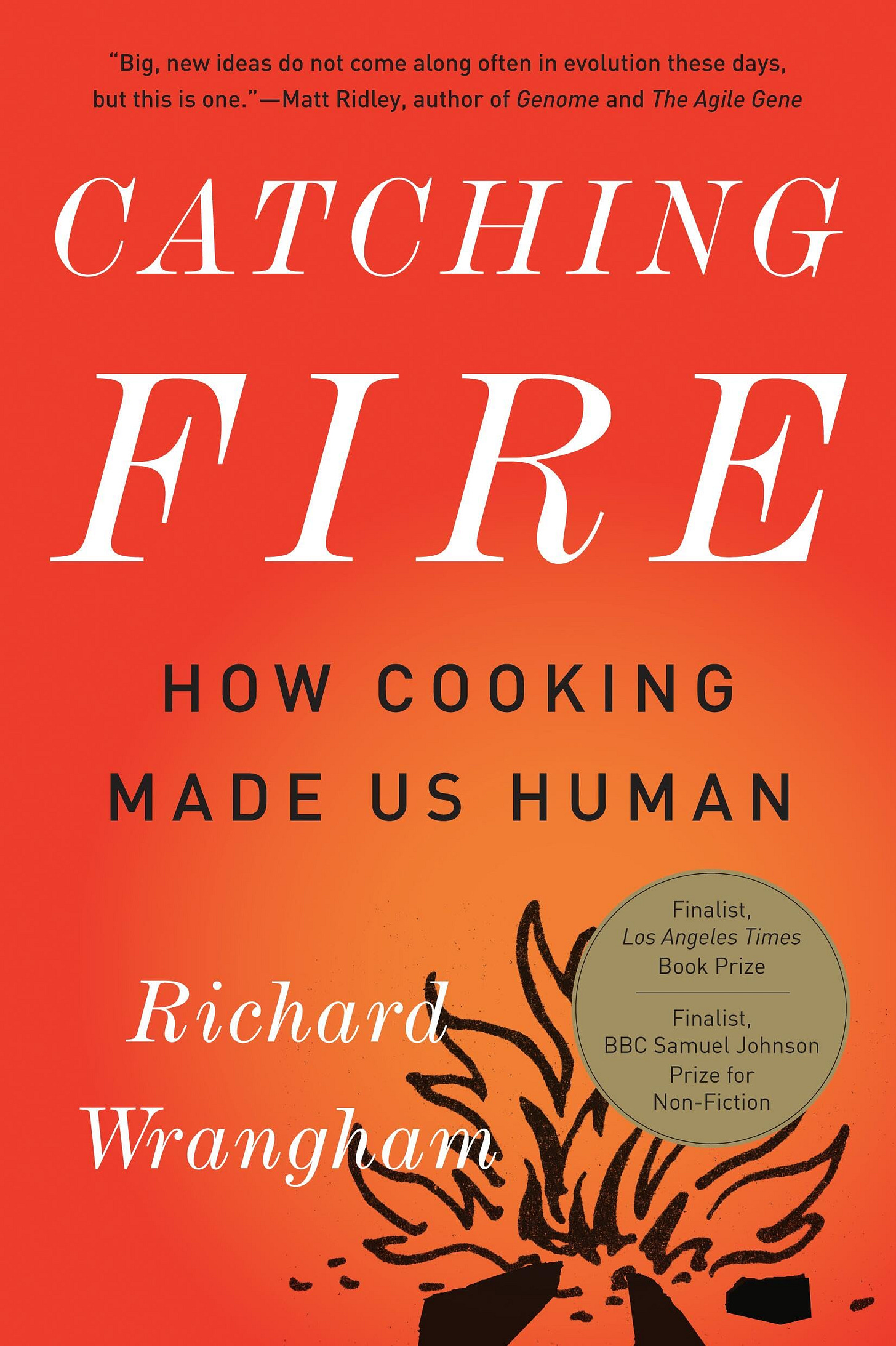 Catching Fire: How Cooking Made Us Human: Wrangham, Richard: 9780465020416:  Amazon.com: Books