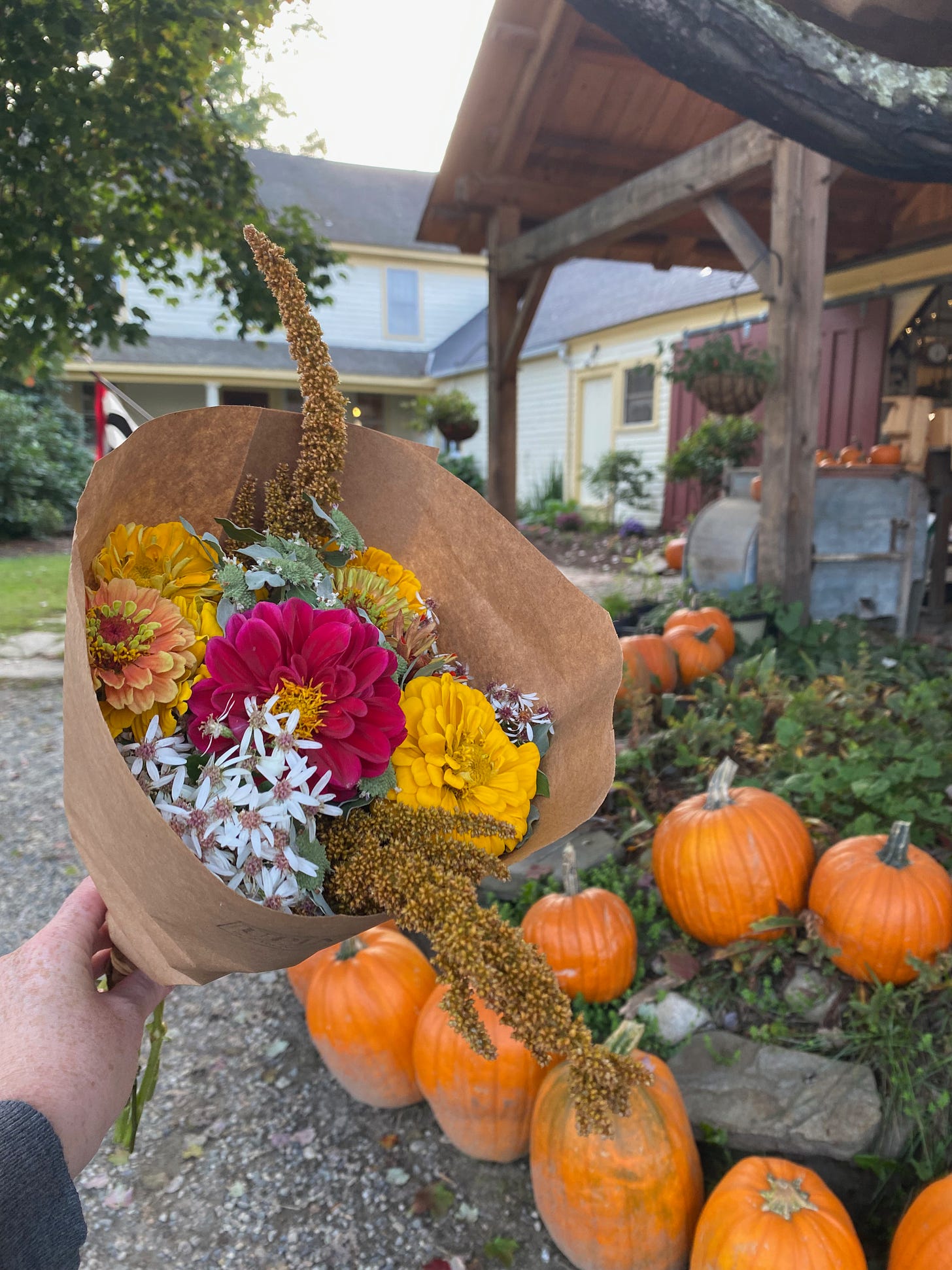 I’m holding up a sunset-colored bouqet of flowers in front of a farmstand porch full of pumpkins.