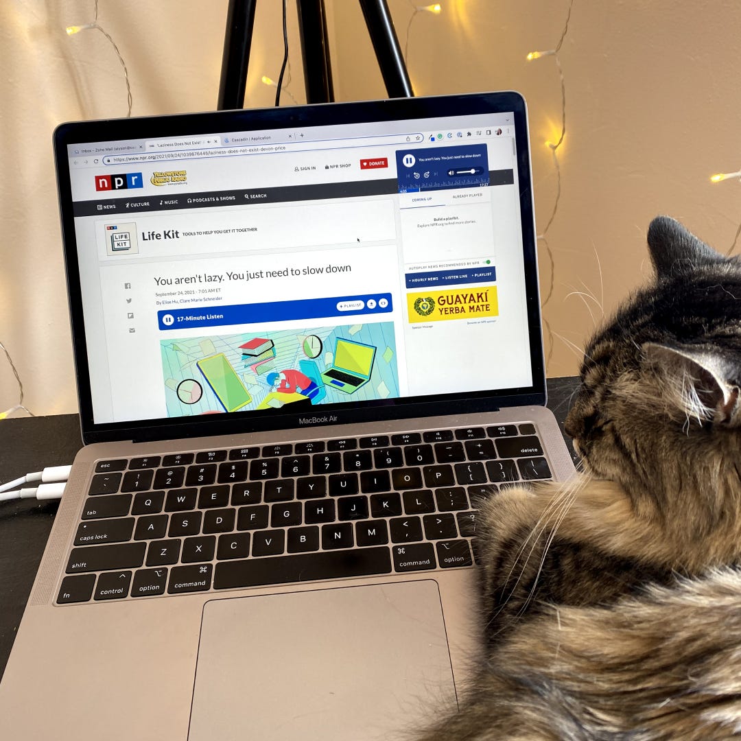 Phoenix, a long-hair tabby cat, laying partially on a laptop keyboard with the screen on a podcast website titled "You aren't lazy. You just need to slow down."