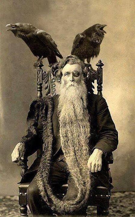 A Pinterest pin added by vailjoy on Nov 28, 2023. The author is Vail Joy. May present: gesture, beard, overcoat, facial hair, bird.