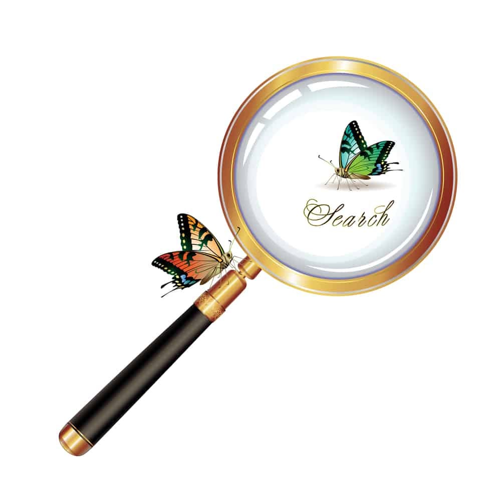 Magnifying Glass Search