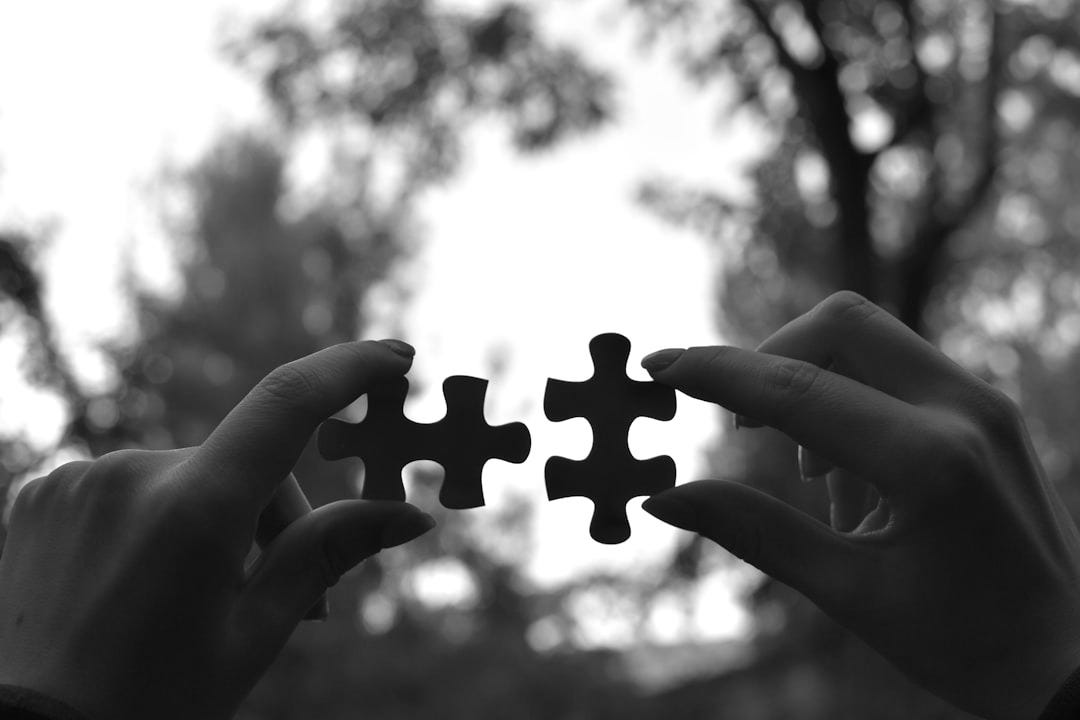 a person holding two pieces of a puzzle a person holding two pieces of a puzzle