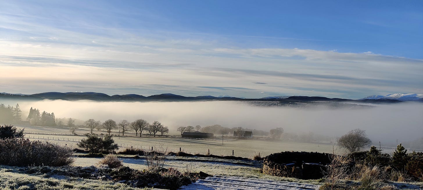 A misty sky and frosty fields