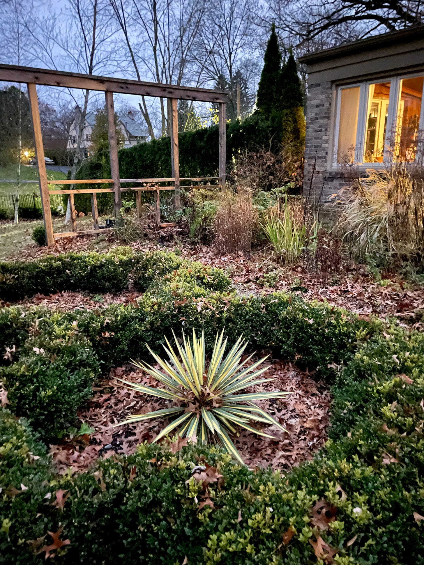 Completed Trellis Wall this November