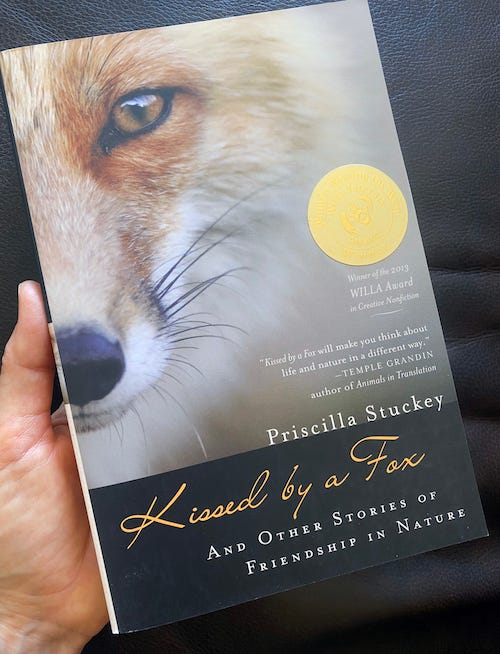 A hand holding the book Kissed by a Fox: And Other Stories of Friendship in Nature, by Priscilla Stuckey. The cover shows close-up of half of a fox face with intelligent, piercing eye