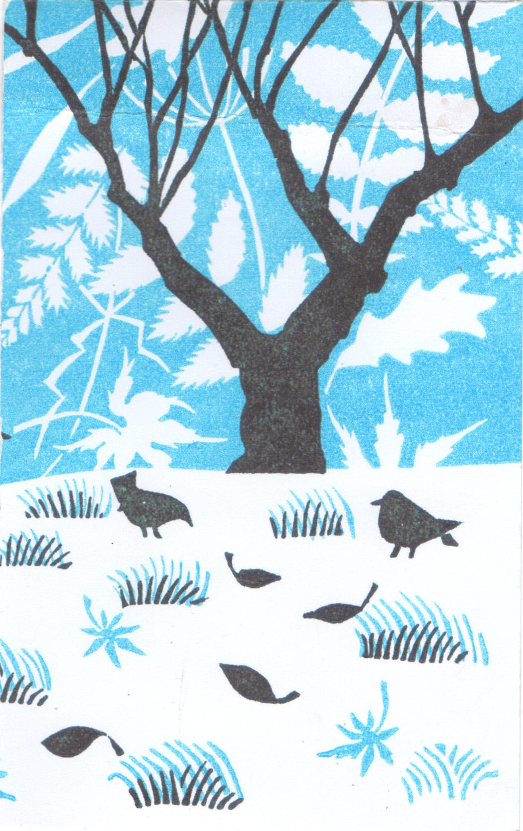 blackbirds, Clare Melinsky
