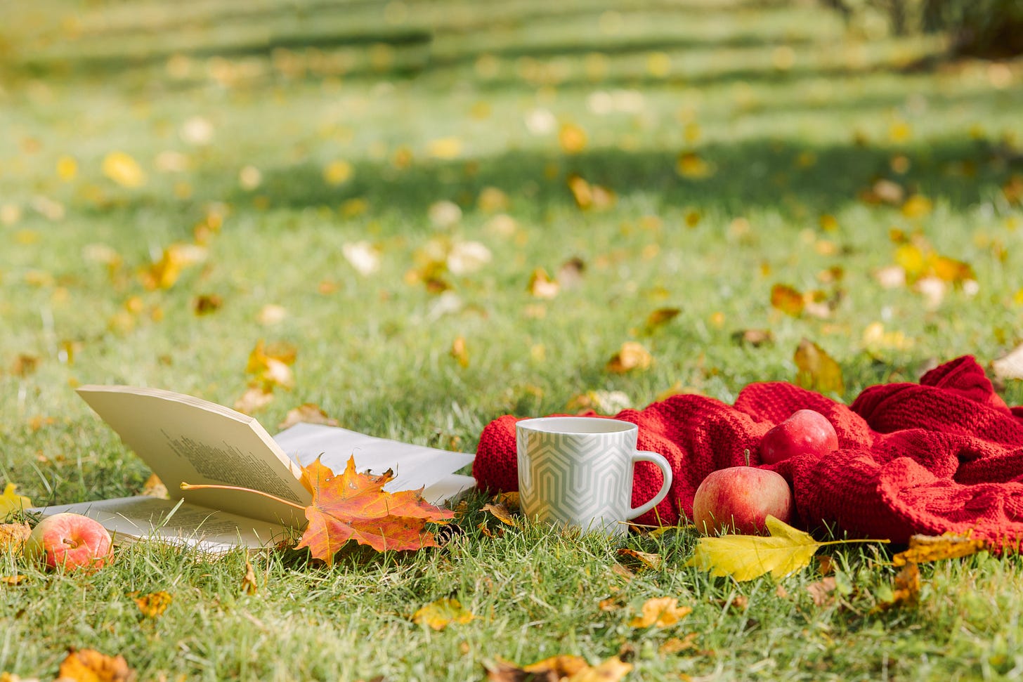 Book, red scarf, a mug of tea and red apples on the grass, surrounded by fallen leaves. Cozy outdoor setting.