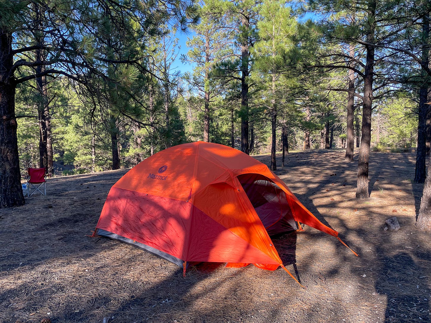 tent set up on the lava bed, in the shade of Ponderosa pines