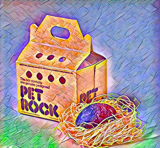 water color of a dark gray rock nestled in a bed of straw next to a cardboard box fashioned like a pet carrier with "This box contains one genuine pedigreed PET ROCK" printed on the side