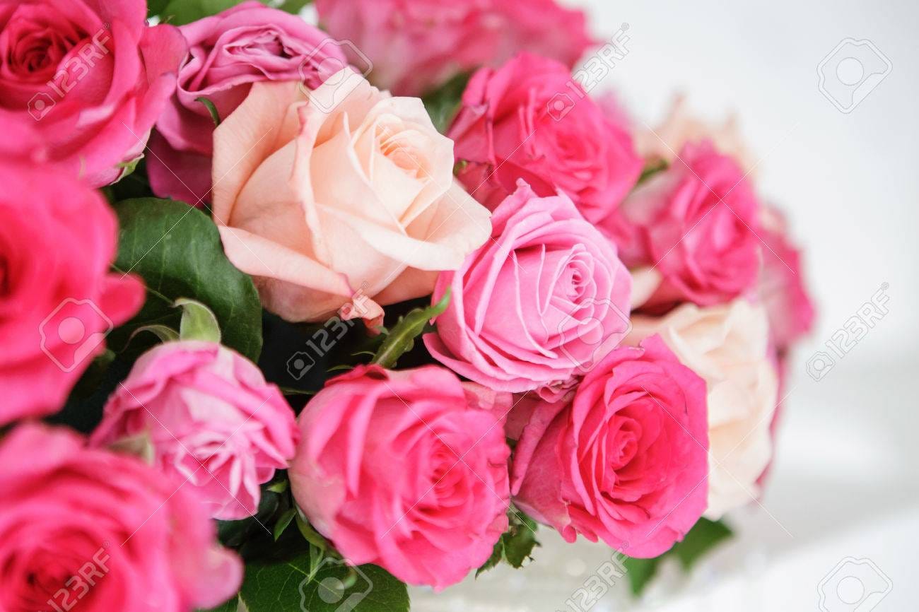 Magenta Roses With One Coral Rose On White Background Stock Photo, Picture  and Royalty Free Image. Image 39786247.
