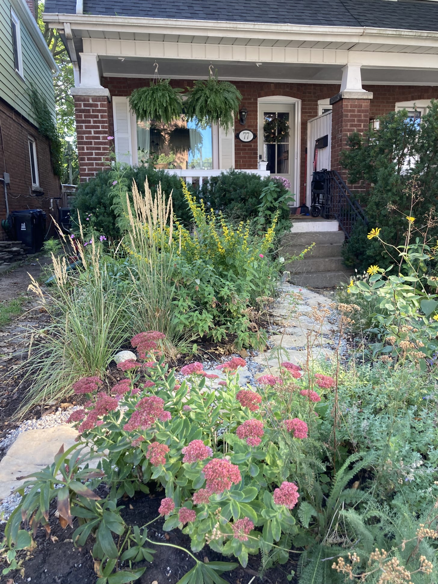 A small front yard in front of a semi-detached house. A stone path winds through diagnoally. It is bursting with grasses, goldenrod, sedum, false sunflower, and plants. 