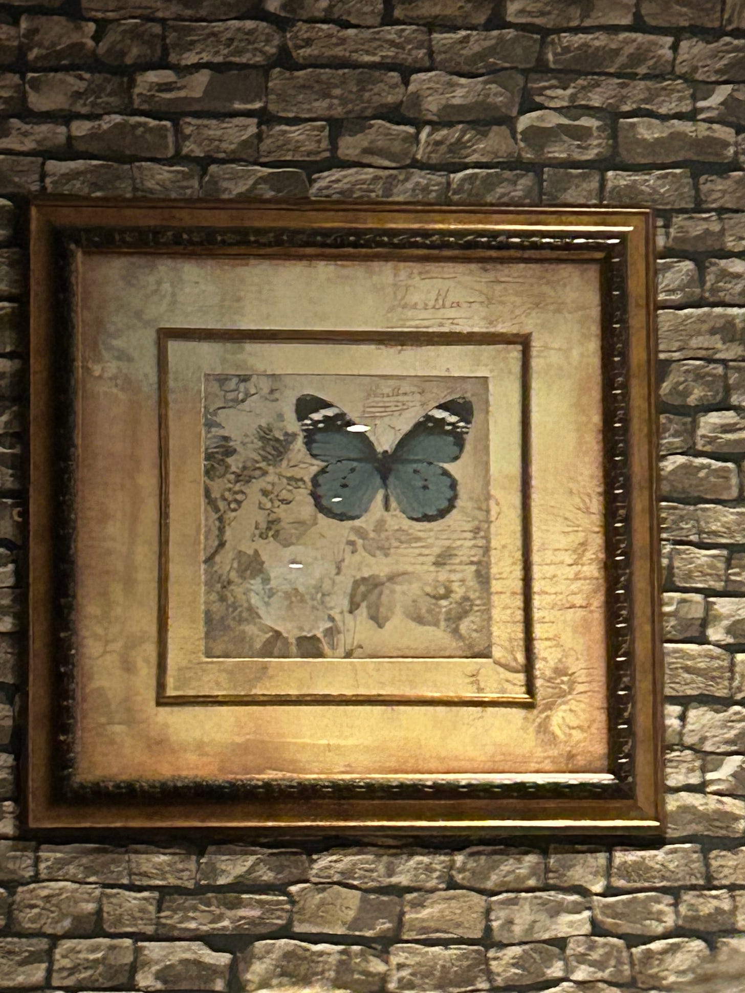 A photo of an illustrated butterfly, framed and hanging on a brick wall.