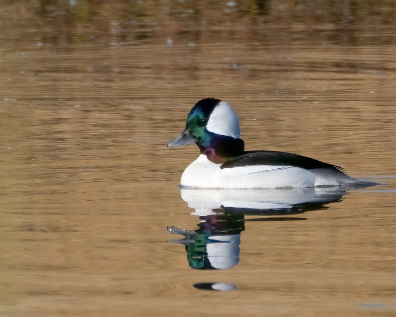 20251224-SGC-81-Edit.jpg