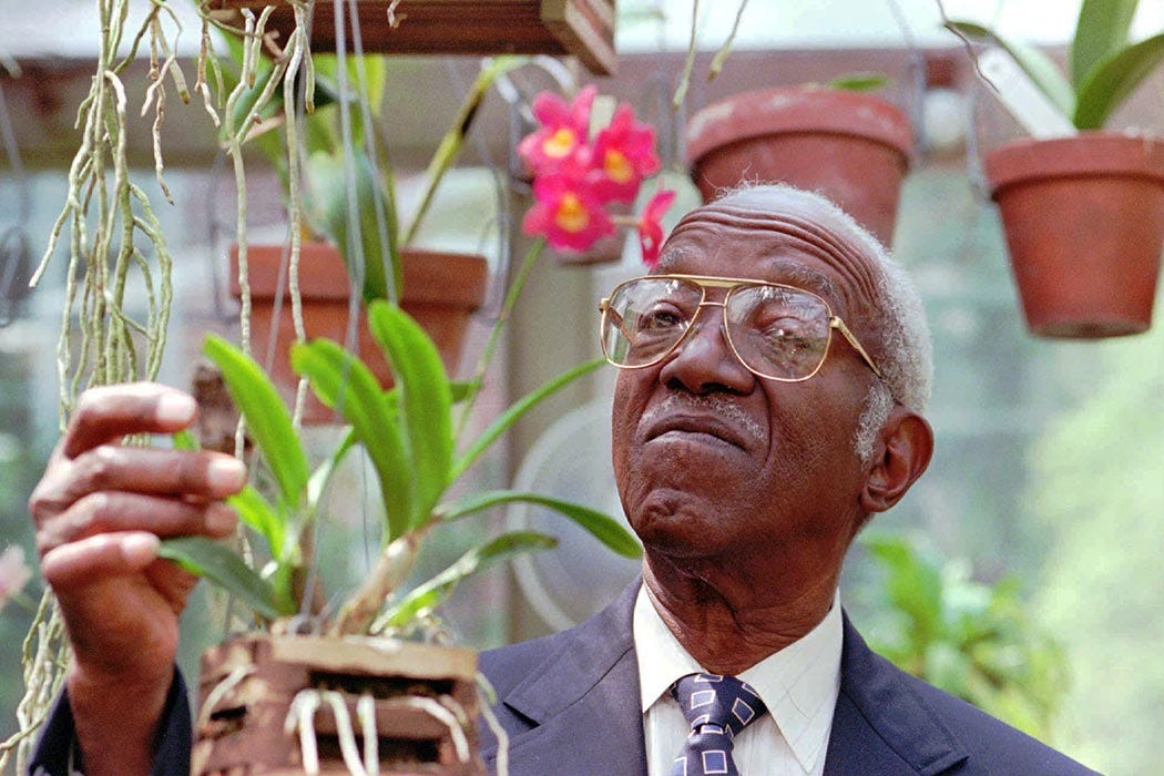 John Hope Franklin, who heads President Clinton's Commission on Race Relations, works with orchids in his backyard greenhouse, in Durham, N.C., on Aug. 25, 1997. (AP Photo/Grant Halverson) John Hope Franklin, who heads President Clinton's Commission on Race Relations, works with orchids in his backyard greenhouse, in Durham, N.C., on Aug. 25, 1997. (AP Photo/Grant Halverson)