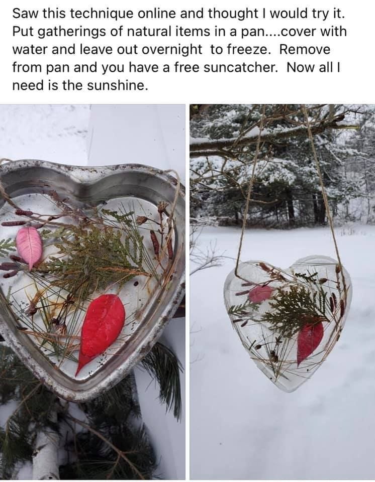 May be an image of heart and text that says 'Saw this technique online and thought would try it. Put gatherings of natural items in a pan....cover with water and leave out overnight to freeze. Remove from pan and you have a free suncatcher. Now all need is the sunshine.'