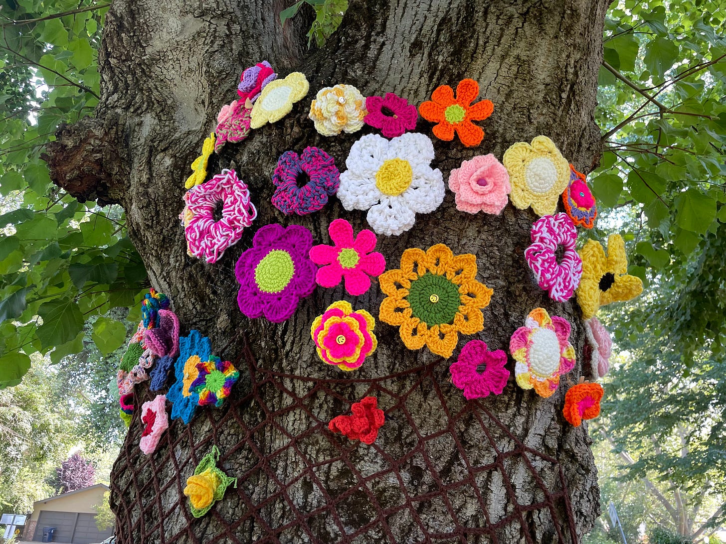 Knitted flowers of various shapes, sizes, and colors wrap around a tree trunk. 