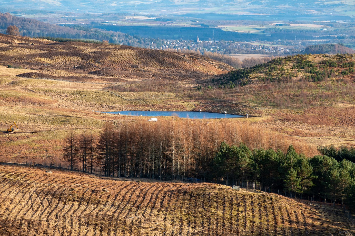 View from stone circle hill over ground mounded for tree planting, mature plantation and (mid right) young developing native woodland of Scots pine and broadleaves © Felicity Martin View from stone circle hill over ground mounded for tree planting, mature plantation and (mid right) young developing native woodland of Scots pine and broadleaves © Felicity Martin