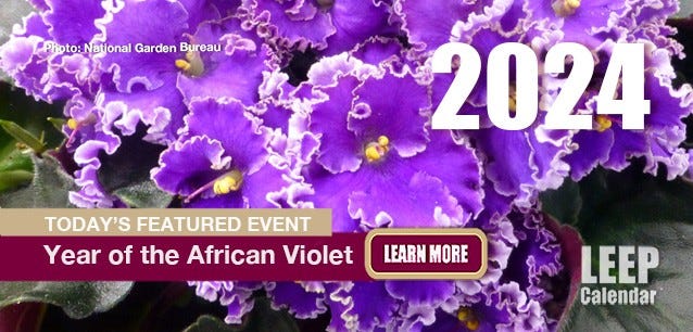 Ruffled edge African Violet. Photo National Garden Bureau.
