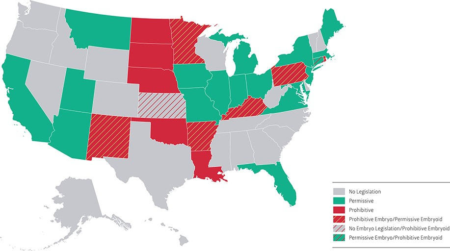 US map of state human embryo research policies. Human embryo research legislation falls into one of three categories: ‘no’ legislation (gray), ‘prohibitive’ (red), and ‘permissive’ (green). A few state laws differ between human embryo and embryoid research (stripes). Connecticut has a permissive human embryo law but restricts embryoids (<17 days). Kansas has no embryo law but does have a restriction on hESC research, including embryoid research. Six states (Arkansas, Kentucky, Minnesota, New Mexico, Pennsylvania, and Rhode Island) have restrictions on embryo research but not on embryoid research.