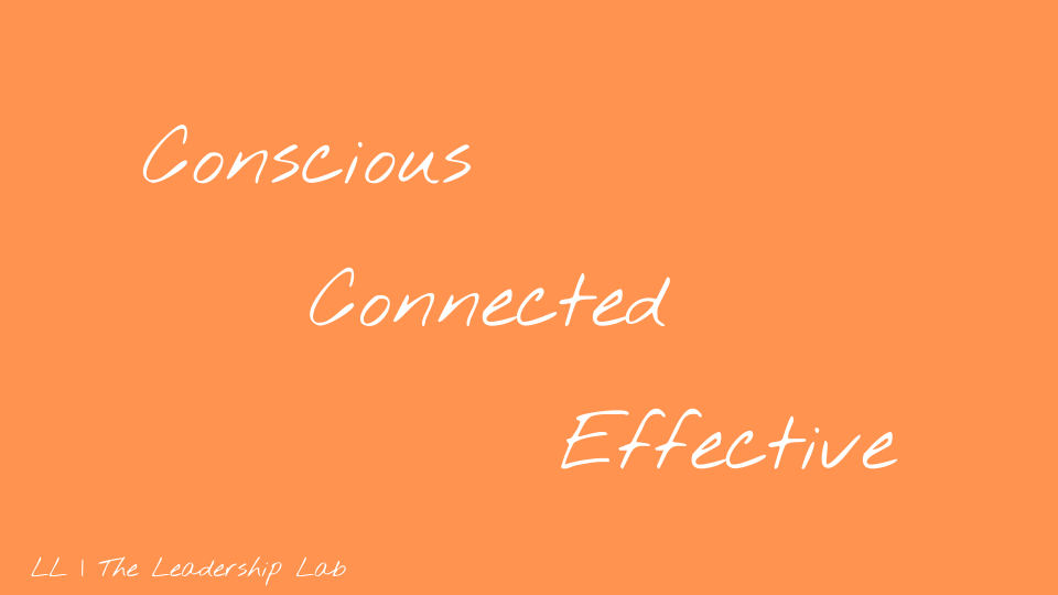 Picture of Conscious, Connected, and Effective