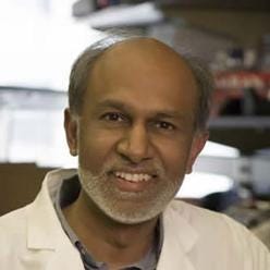 Avindra Nath, M.D. | Principal Investigators | NIH Intramural Research  Program