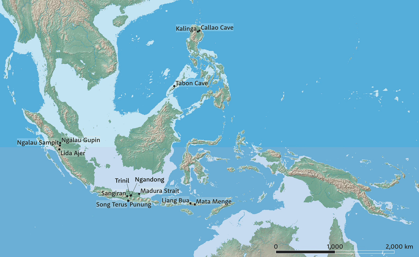 Map of southeast Asia and Indonesia with fossil sites indicated. Areas where the sea bottom has a depth less than 130 meters are indicated Map of southeast Asia and Indonesia with fossil sites indicated. Areas where the sea bottom has a depth less than 130 meters are indicated