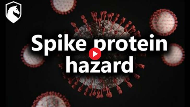 spike protein coronavirus