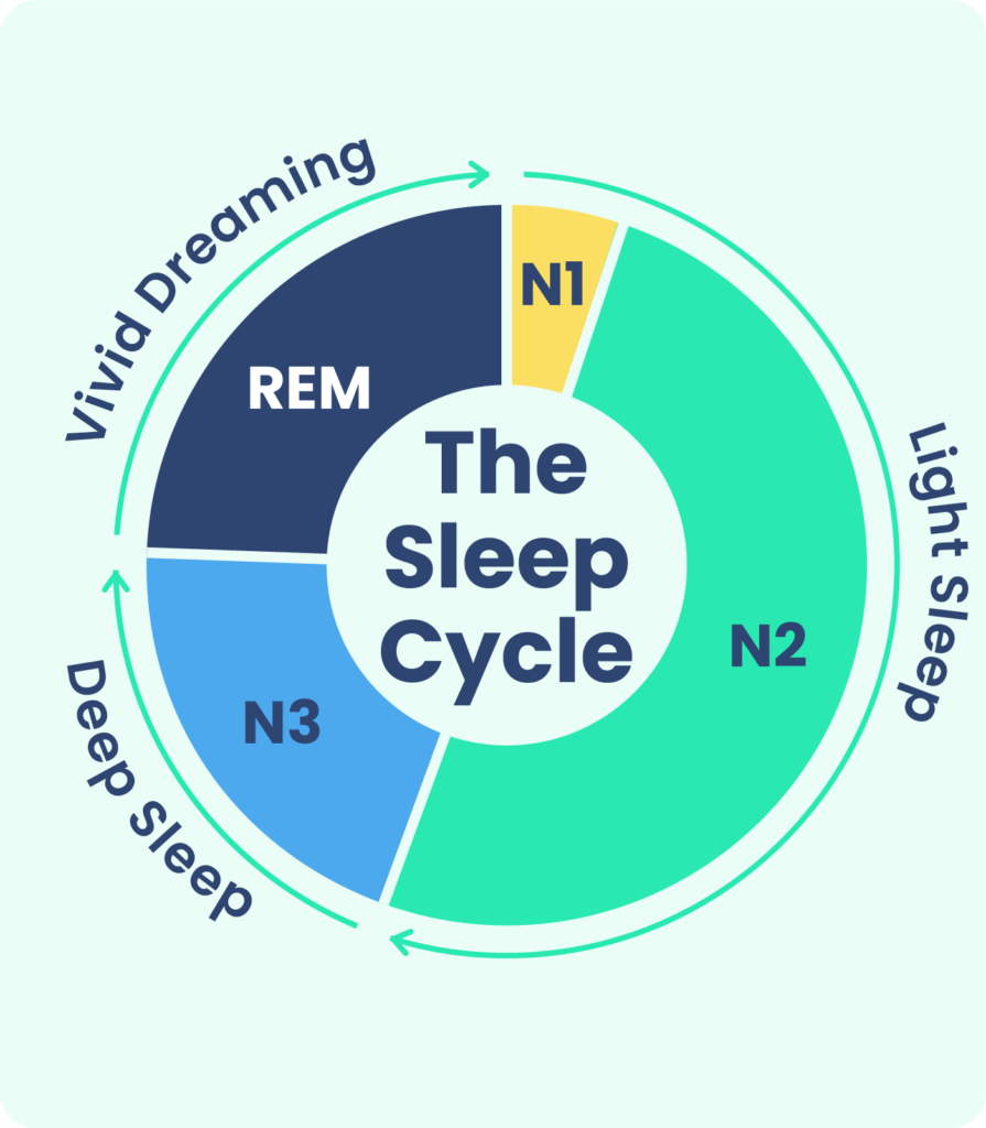 Stages of Sleep: What Happens in a Sleep Cycle | Sleep Foundation