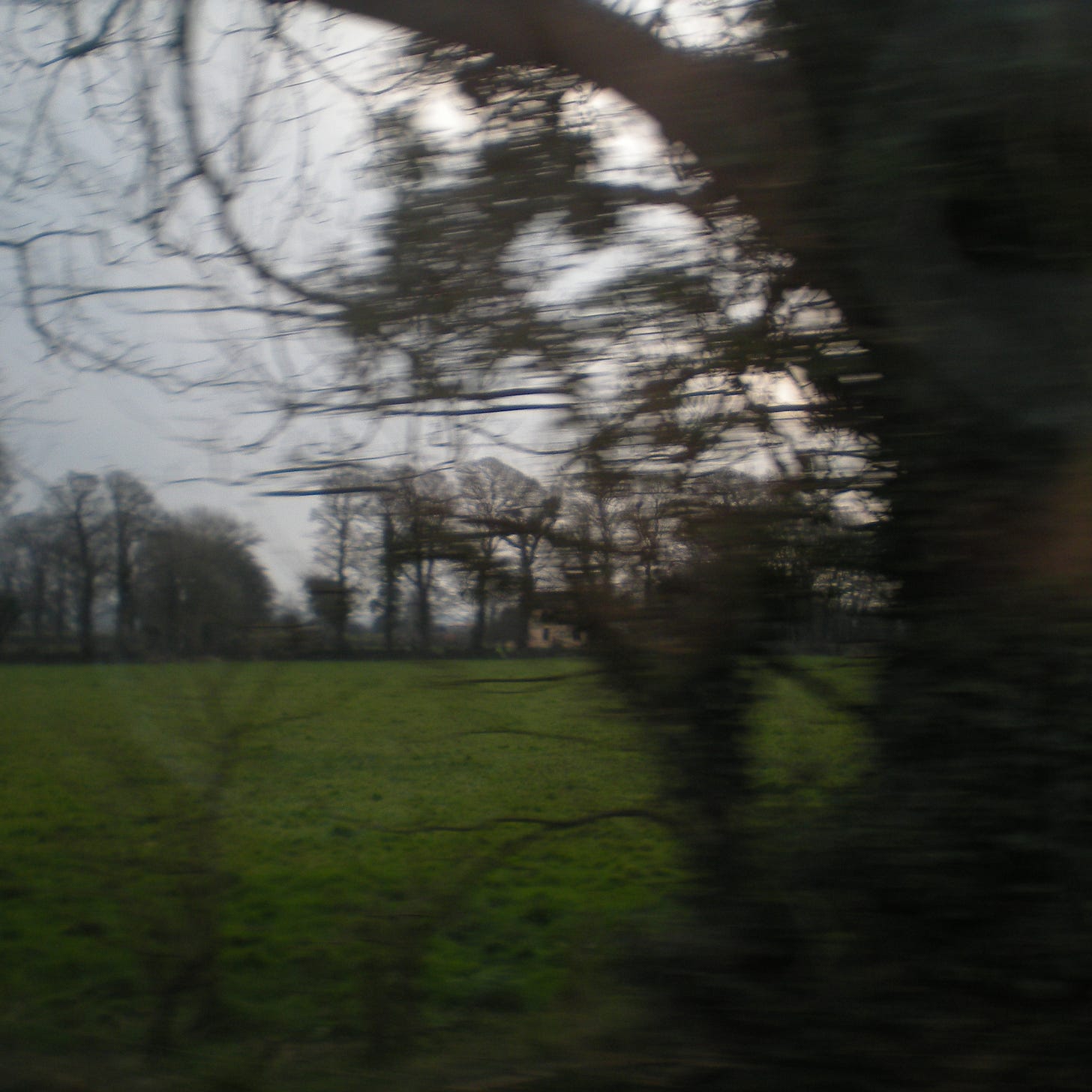Blurry image of bare trees and a pasture under a gray sky.