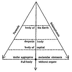 Body without organs - Wikipedia