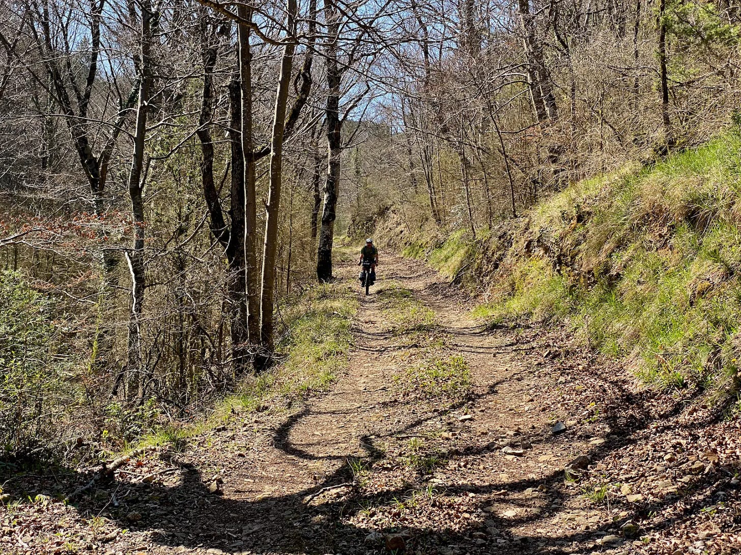 Forêt domaniale de Joncels Forêt domaniale de Joncels