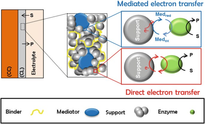 Electron Transfer Between Enzymes and Electrodes | SpringerLink