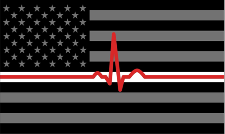 Amazon.com : Healthcare Worker Flag 3' x 5' - Thin Med Line - Nurse RN  Doctor Physician EMT Medic EMS : Patio, Lawn & Garden