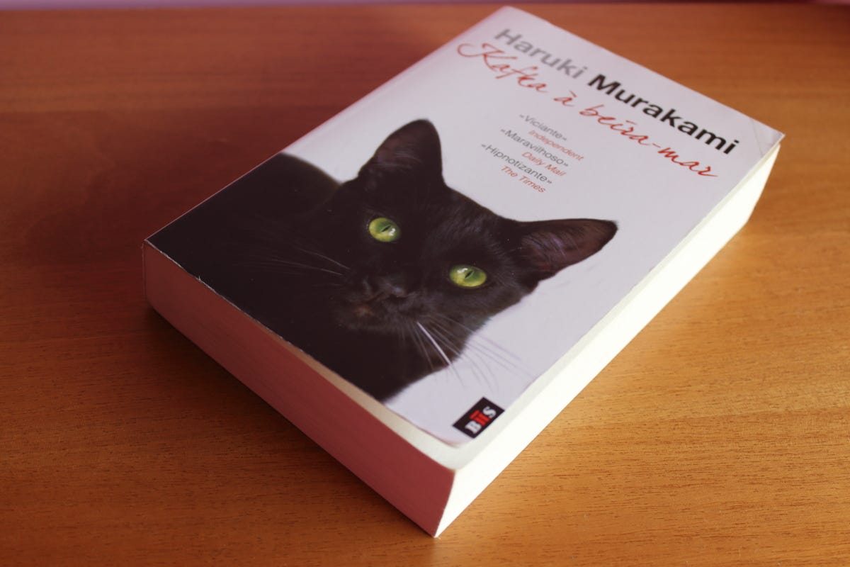 Favourite Books #3 – Kafka On The Shore, by Haruki Murakami – Cat's Shelf