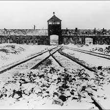 What Happened After the Liberation of Auschwitz | History| Smithsonian  Magazine
