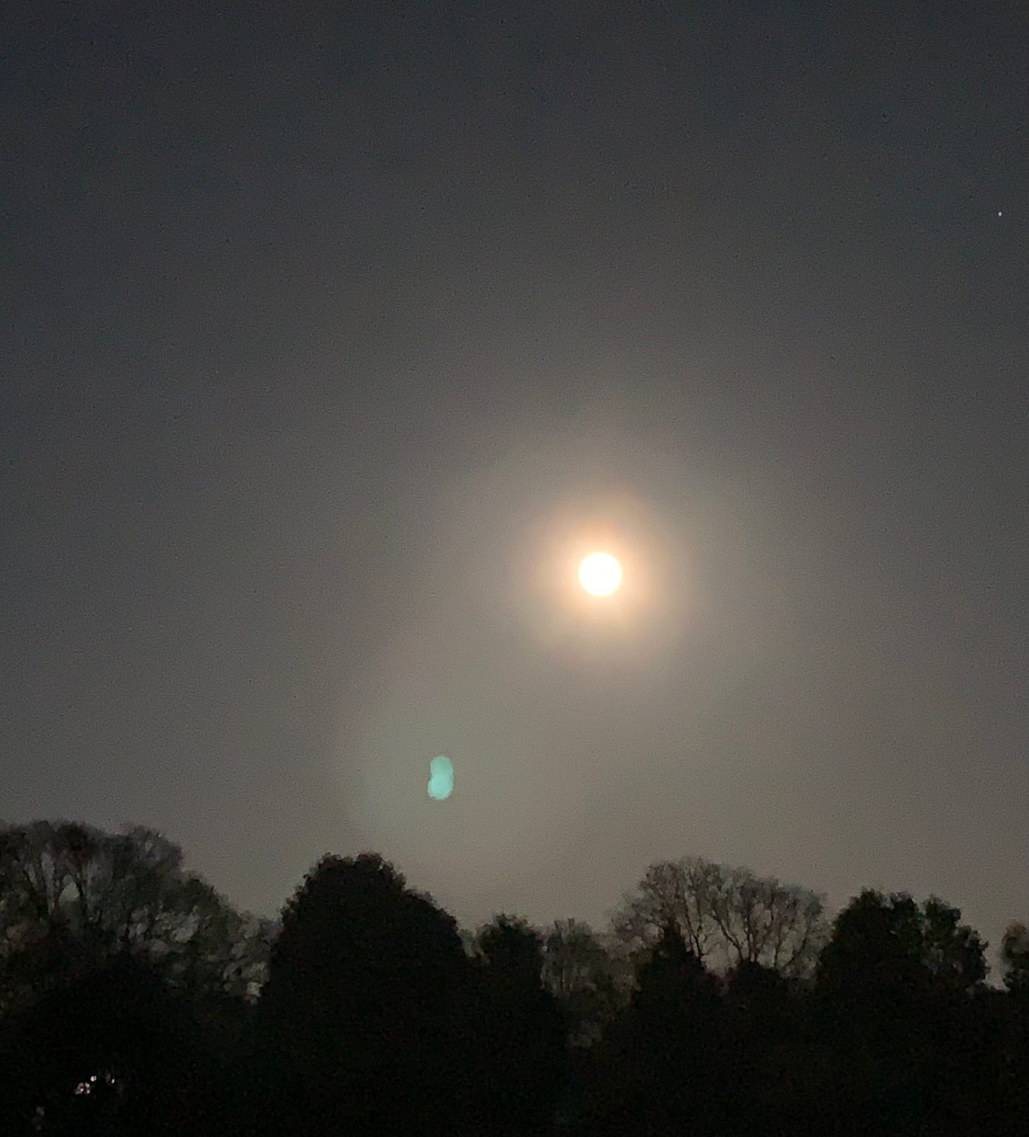 blurry image of the full moon illuminating the sky over trees