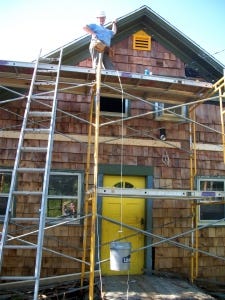 Cedar in a hard hat