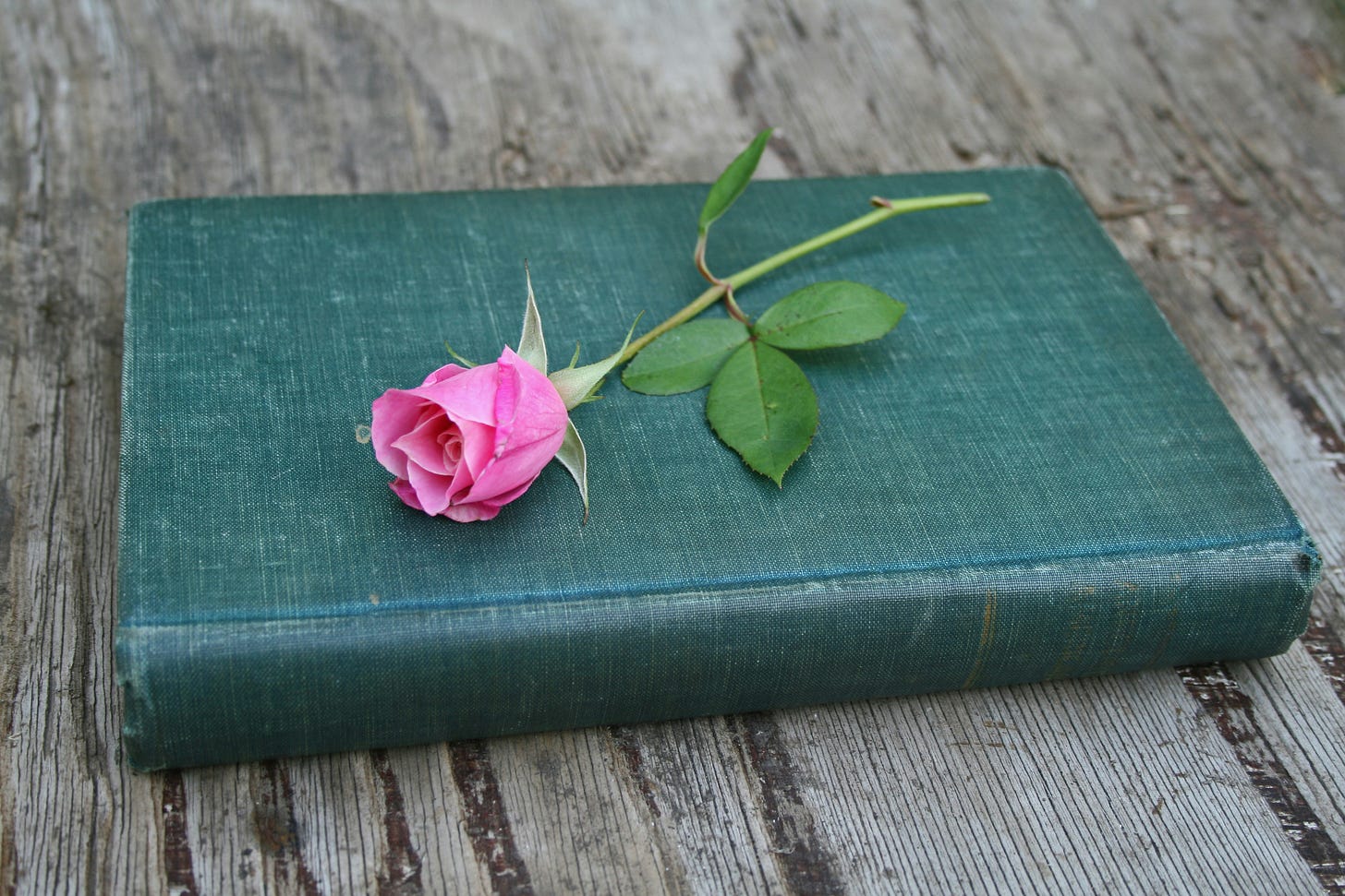 A photograph of a worn green book on a wooden table. A long-stemmed pink rose sits on top of the closed book.