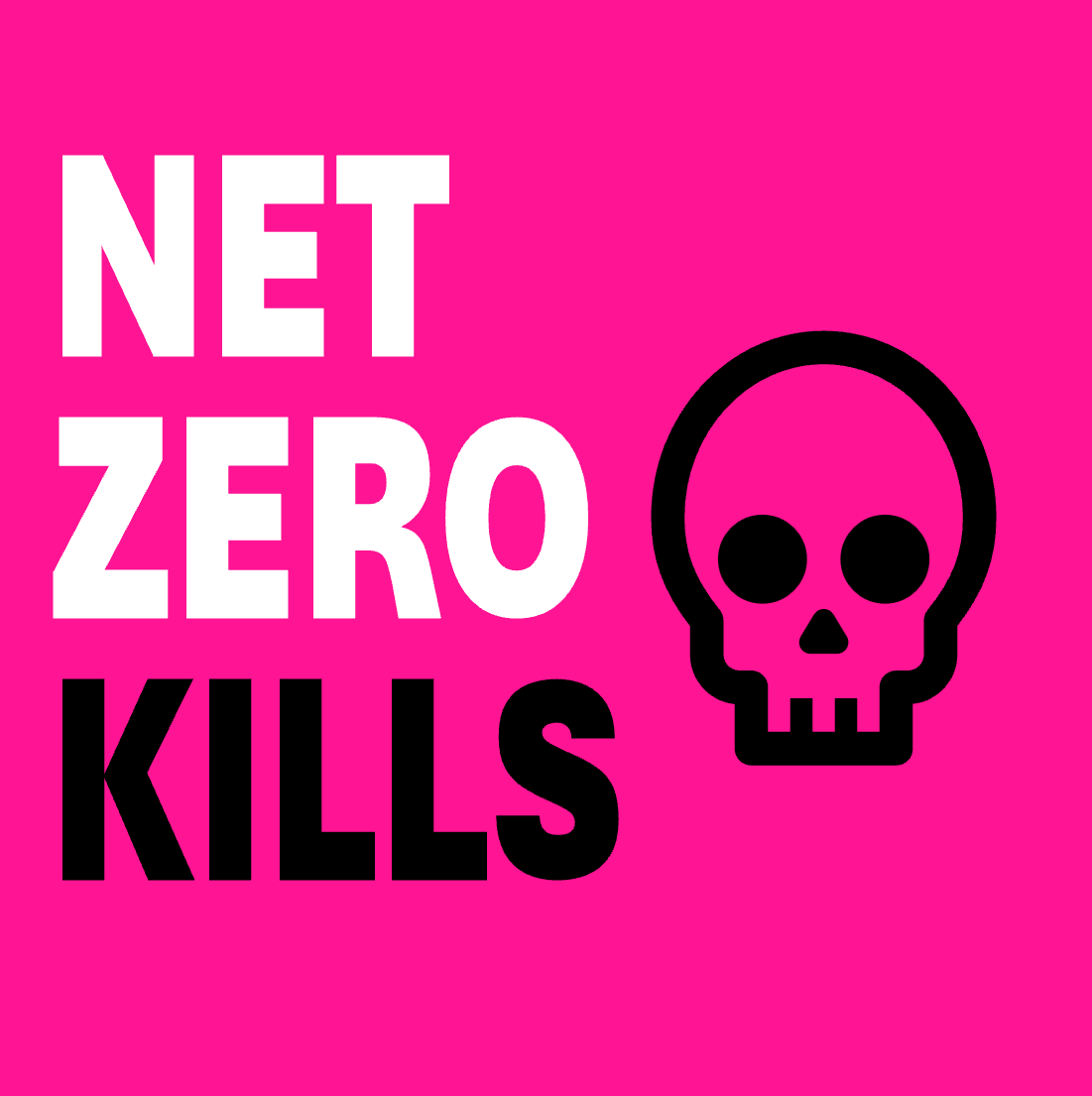 Net Zero Kills - David Turver