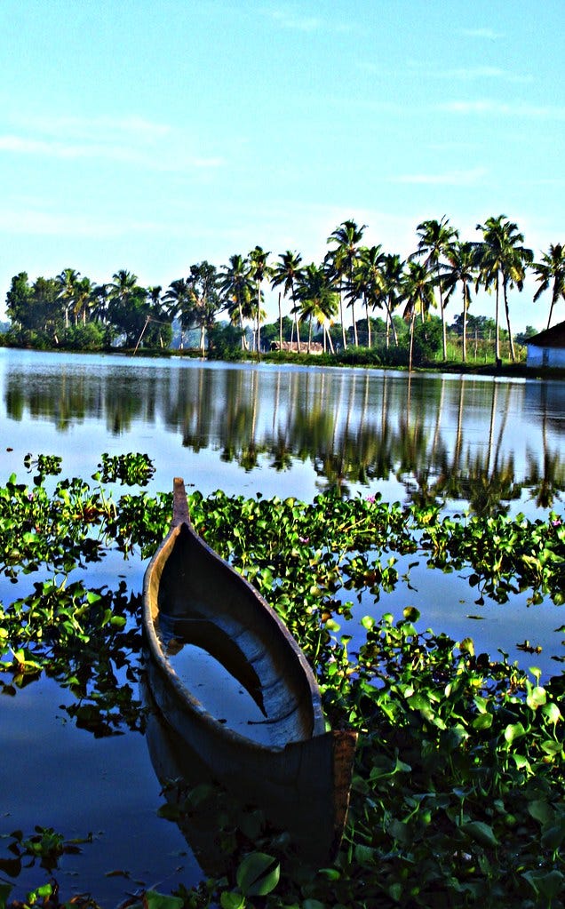 A canoe with water in the bottom waits in some water plants in front of a bay with palm trees and a small house in the background. "Waiting...." by -Reji is licensed under CC BY-NC-SA 2.0.