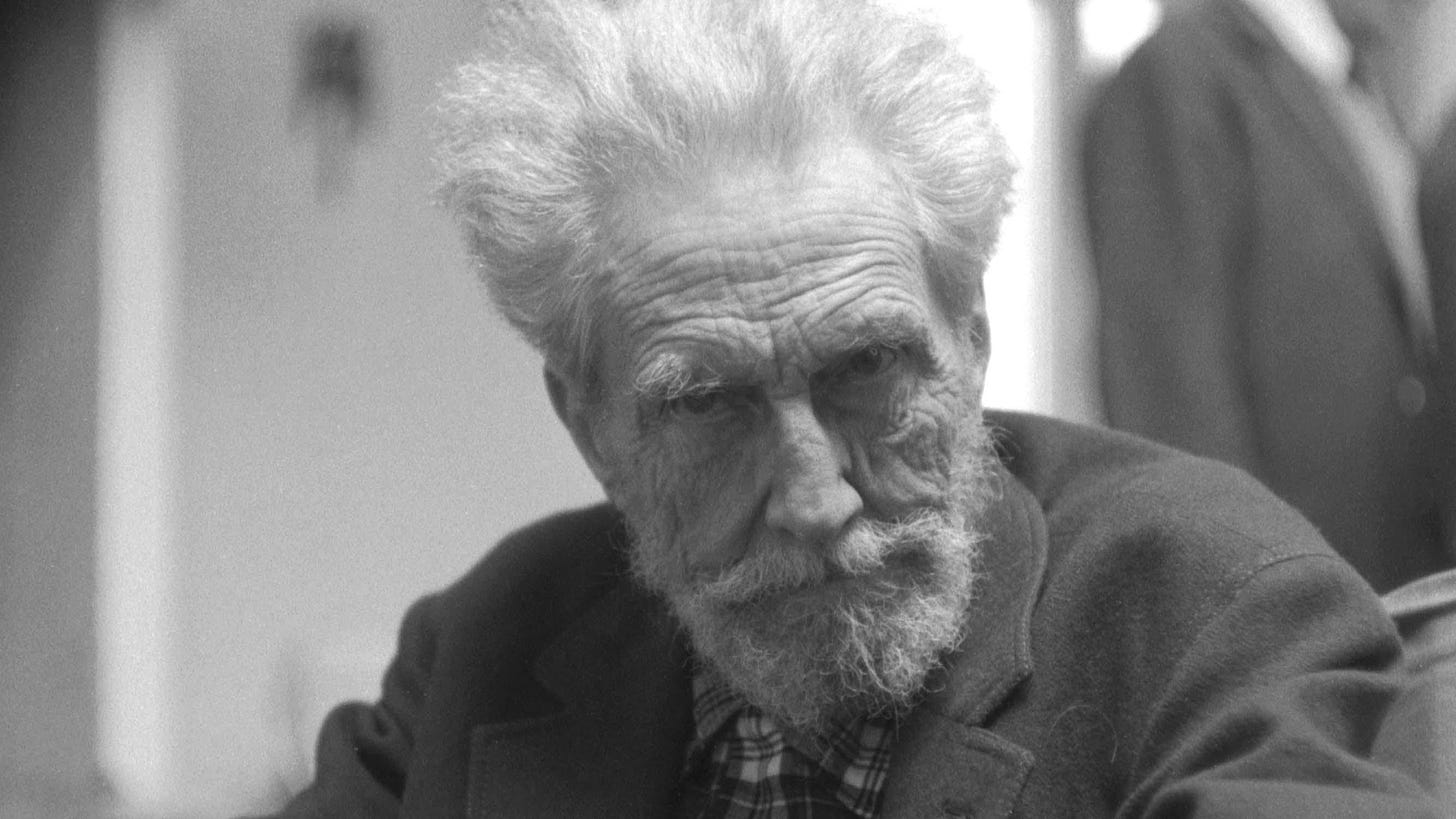 Books: The Bughouse: The Poetry, Politics and Madness of Ezra Pound by  Daniel Swift