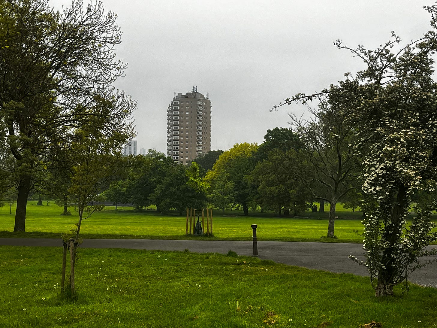 View of urban buildings from within a park with grass and trees