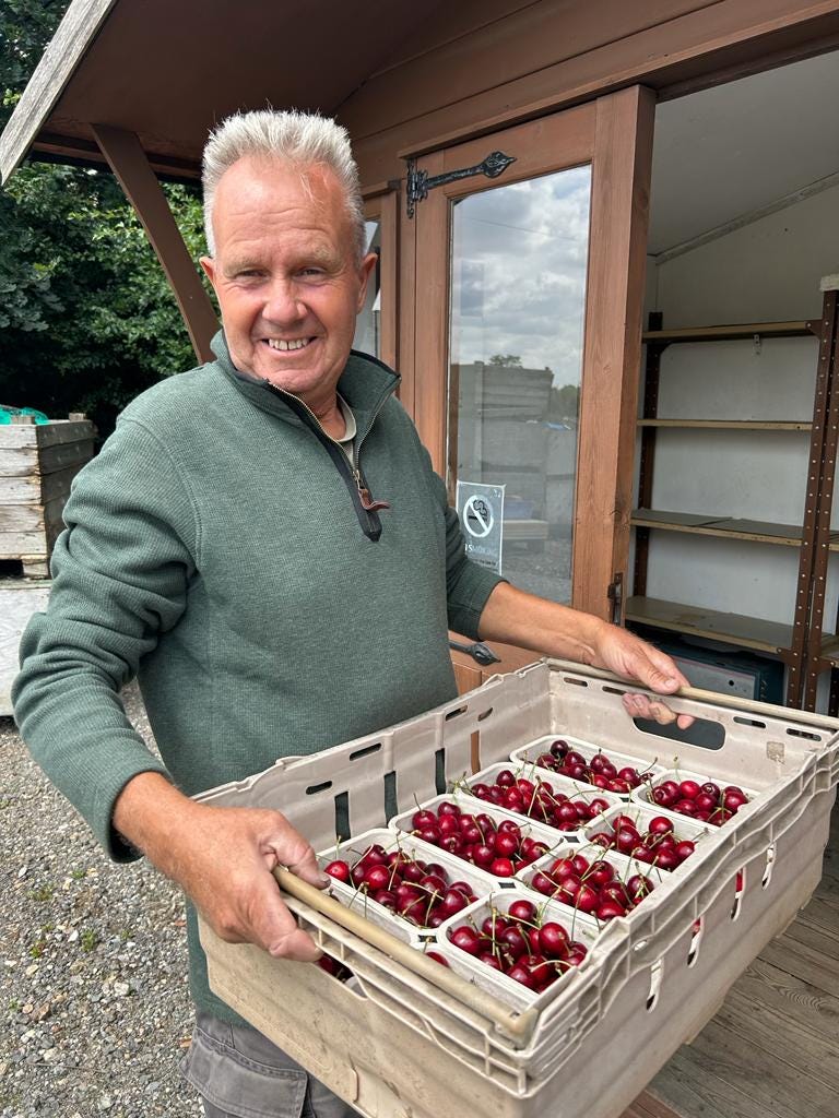 Fruit grower Malcolm Stone at his orchard with his cherry harvest