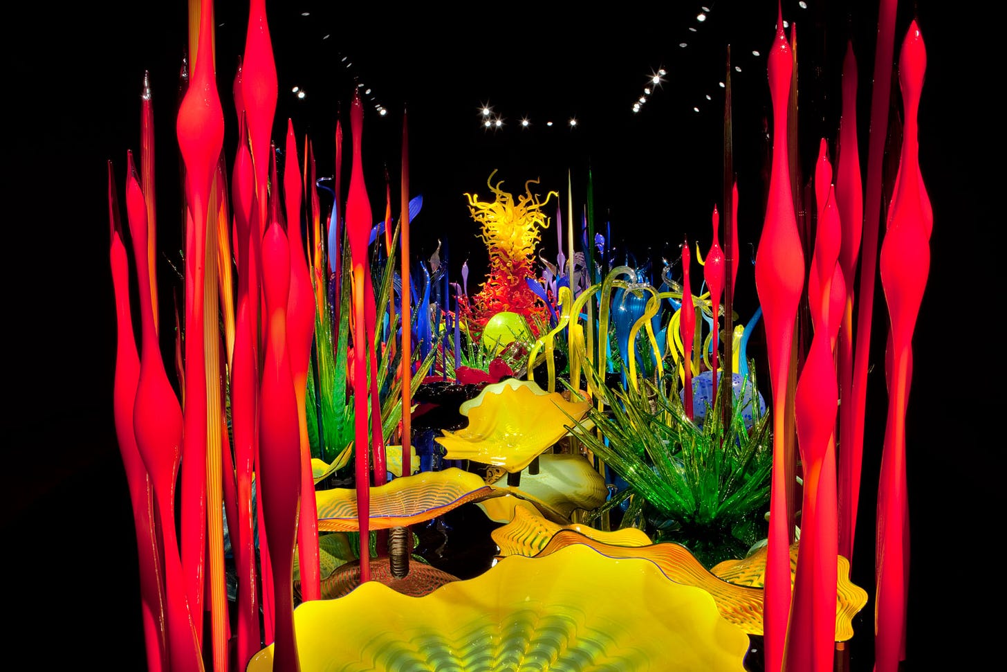 Chihuly Garden and Glass | Chihuly
