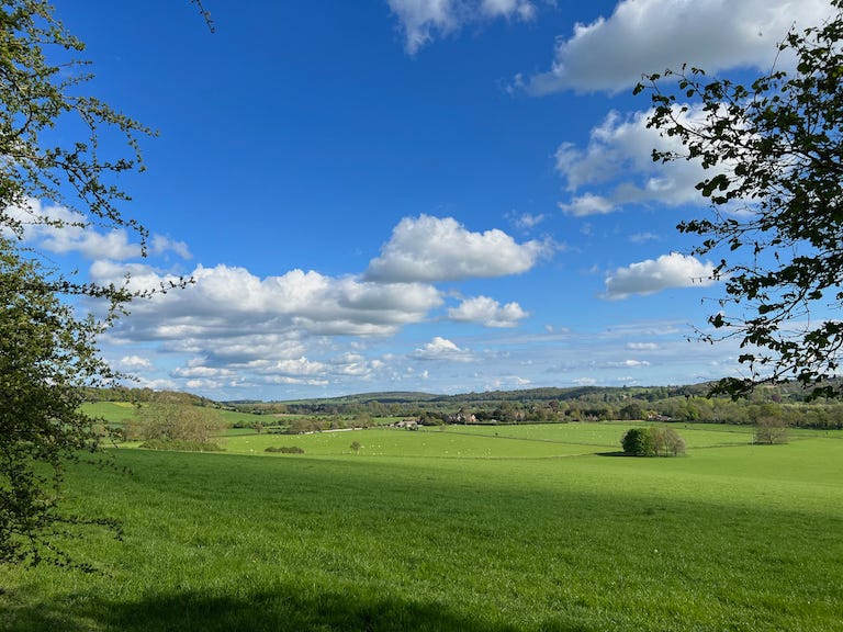 Photo by Author — the English Countryside in Spring